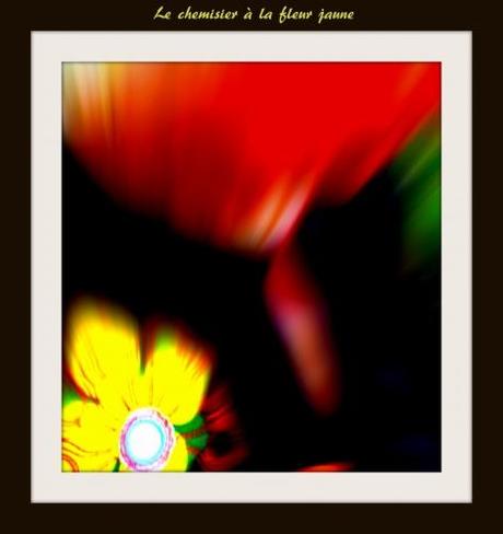 chemisier fleur jauneIMG_2974.jpg