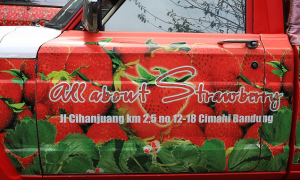 la marche aux fraises - cihanjuang cimahi bandung