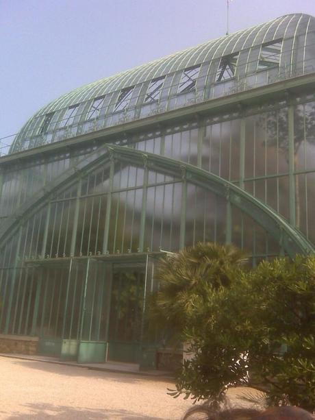 Extension de Roland Garros : le coup de force de la mairie de Paris