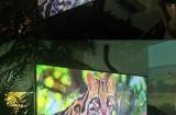 Un UHD ZOO par Samsung