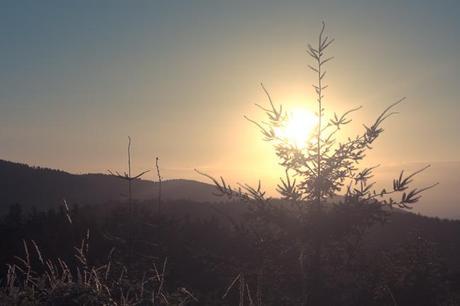 L’ancien couvent de Nozières (07)
