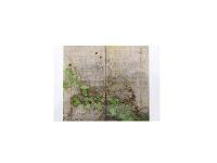 boutiques # Kyoto : Benrido