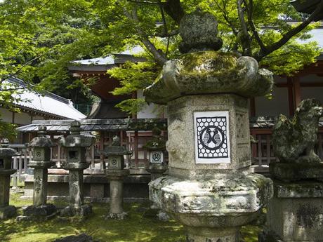 11#東大寺Nara