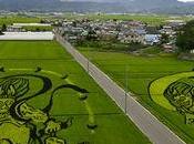 Tanbo l'Art rizières