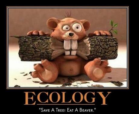 ecology save a tree eat a beaver