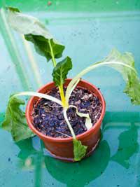 L’arrosage, c’est tout un art !