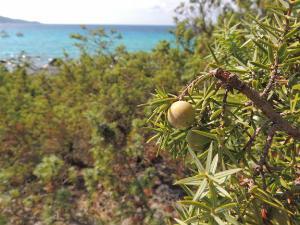 Promenade en bord mer