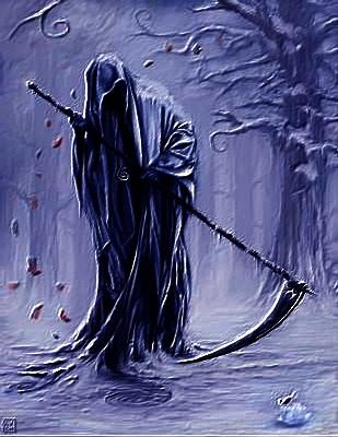 Faucheurs de riz doré, faucheurs de vie