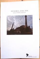 voyage,istanbul,écriture,livres,gérard de nerval,paysages,culture,littérature