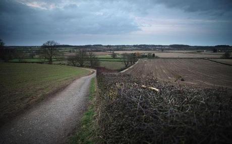 champs-de-bataille-Somme