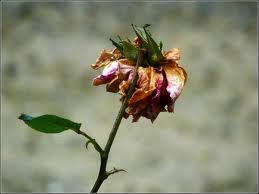 Comment résister au pouvoir 