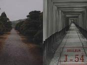 J'ai failli voir Sophie Calle dans Avignon