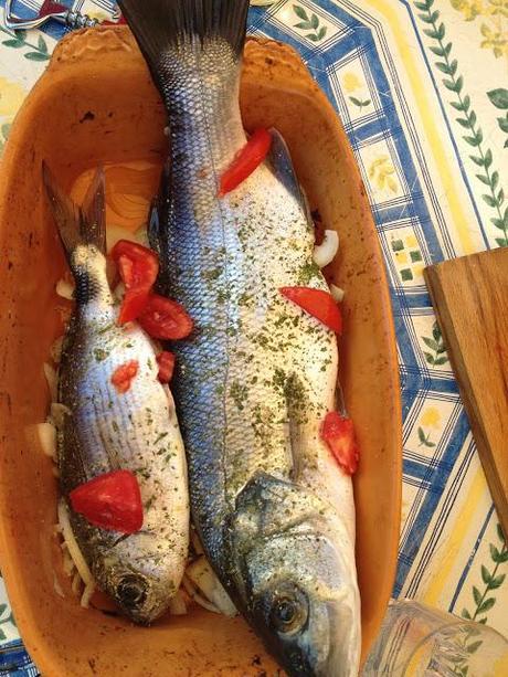 01082013 -> 07082013