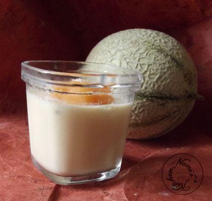 panna cotta melon lait fermenté   (1)
