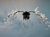 Entre ciel terre avec Jorge Mayet