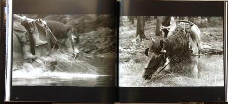 cheval vapeur 2 585x268 Réaliser un reportage photo avec le livre Cheval Vapeur