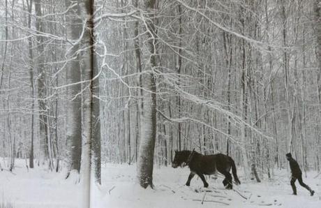 cheval vapeur 5 585x380 Réaliser un reportage photo avec le livre Cheval Vapeur