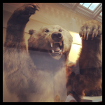 Londres 4# : Natural History Museum, Hyde Park et Buckingham Palace