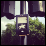 Londres 4# : Natural History Museum, Hyde Park et Buckingham Palace