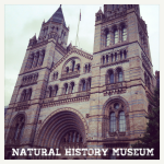 Londres 4# : Natural History Museum, Hyde Park et Buckingham Palace