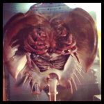 Londres 4# : Natural History Museum, Hyde Park et Buckingham Palace