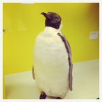 Londres 4# : Natural History Museum, Hyde Park et Buckingham Palace