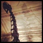 Londres 4# : Natural History Museum, Hyde Park et Buckingham Palace