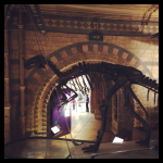 Londres 4# : Natural History Museum, Hyde Park et Buckingham Palace