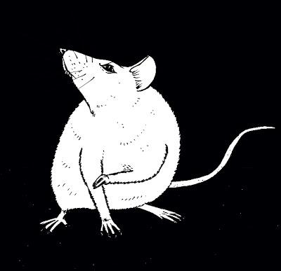 CHAPITRE 10 : THE END