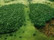 Désormais, monde vivra crédit