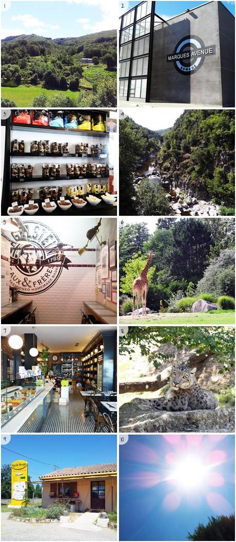 Mes vacances en 10 photos