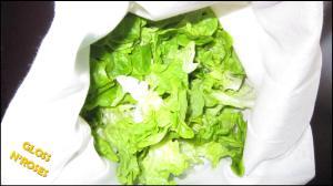 salade sac à salades test
