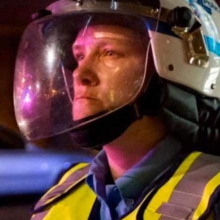 La Crasse Fauve qui Déteint Jusque sur le Bleu du Ciel