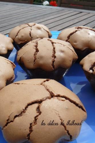 moelleux au chocolat, abricots et raisins secs P1190192