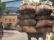 Photos super marrantes Chine