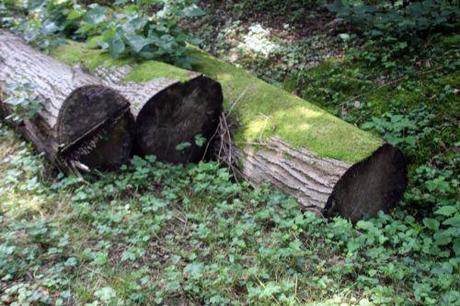 3 barres 27 juillet 2013 005.jpg