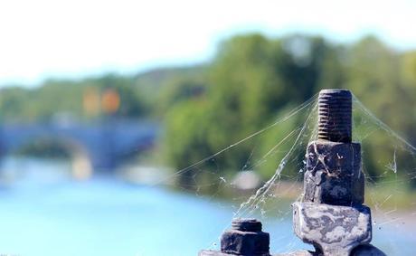 A la découverte de Tours Tours