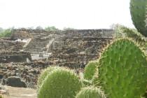 De Mexico à Cancún (1/6) : sur la route des Mayas, des temples et des cactus