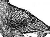 Foie gras piment d’Espelette