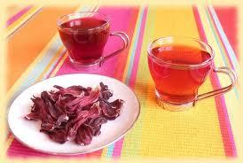 L'hibiscus dans tous ses états