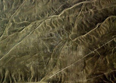 15145379-singe-les-lignes-de-nazca-sont-une-serie-de-geoglyphes-situe-dans-le-desert-de-nazca-perou