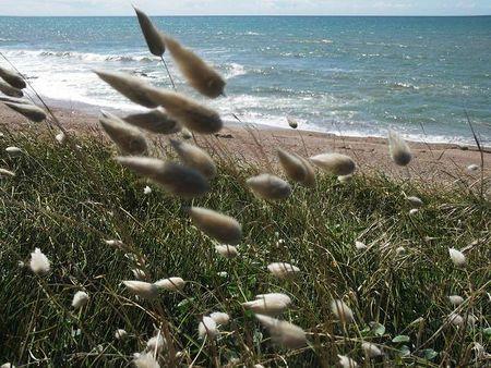 photos vacances 2013 211b