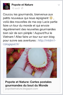 05 | Carte postale gourmande du VIETNAM