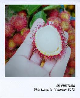 05 | Carte postale gourmande du VIETNAM