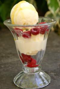 glace_fromage blanc_yaourt_framboise_légère_sorbetière_crème glacée