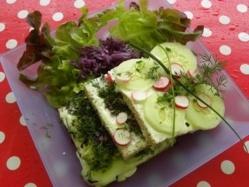 Et si nous nous passions de viande ?