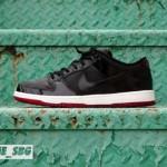 nike-sb-dunk-low-bred-dank-customs-4