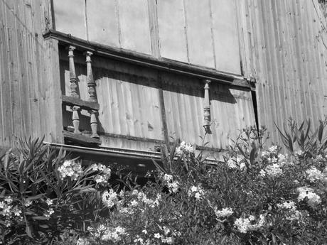 sa muse comme on peut