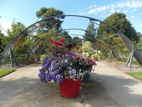 sa muse comme on peut