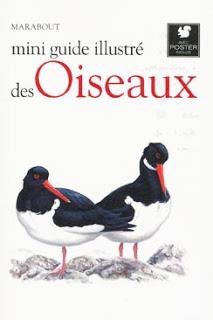 Mini-guide illustré des oiseaux, aux éditions Marabout